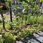 Blockhaus In Herrlicher Umgebung Semesterbostad *