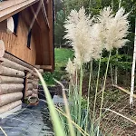 Blockhaus In Herrlicher Umgebung Semesterbostad Darstein