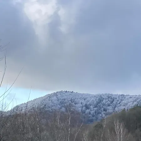 Ferienhaus Blockhaus In Herrlicher Umgebung Darstein