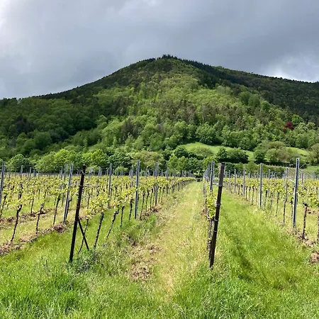 Blockhaus In Herrlicher Umgebung * Darstein