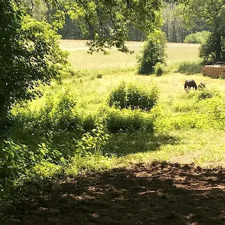 Ferienhaus Blockhaus In Herrlicher Umgebung *