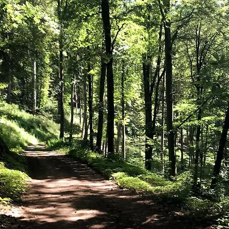 Blockhaus In Herrlicher Umgebung * Darstein