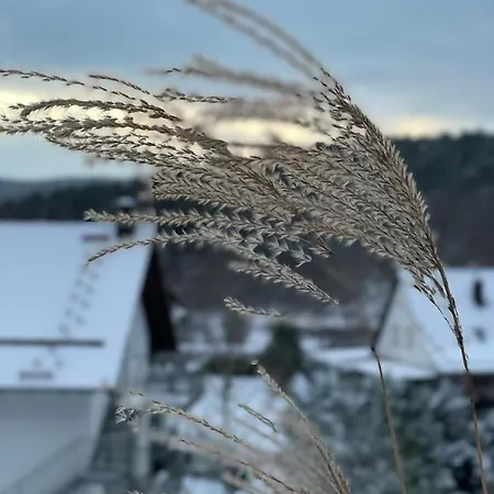 Blockhaus In Herrlicher Umgebung Ferienhaus *