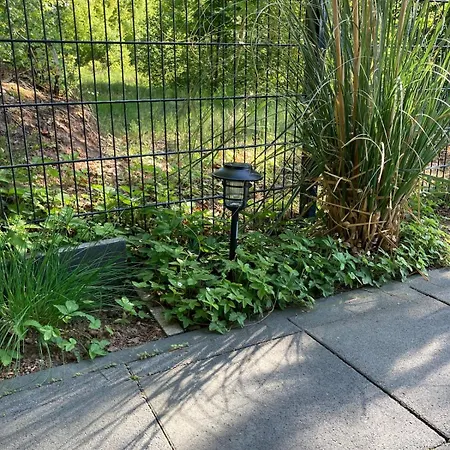 Blockhaus In Herrlicher Umgebung Ferienhaus Darstein