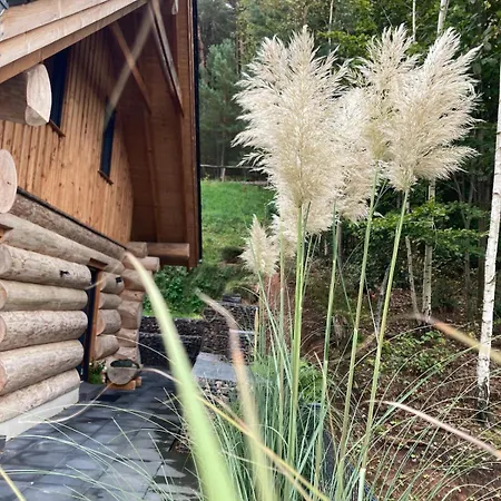 Blockhaus In Herrlicher Umgebung Ferienhaus Darstein