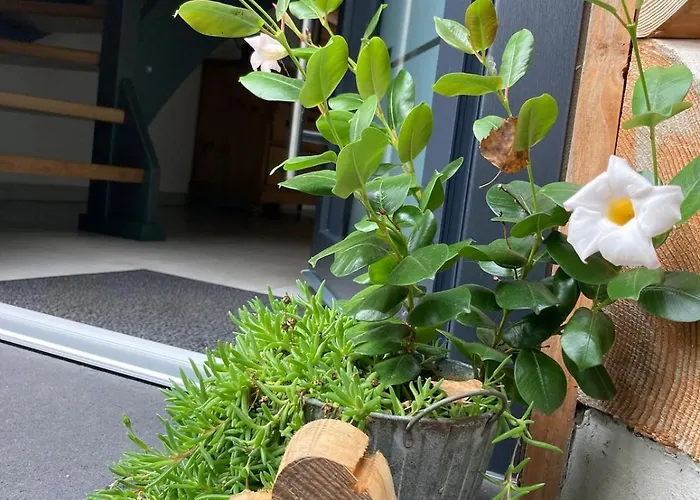 Blockhaus In Herrlicher Umgebung * Darstein