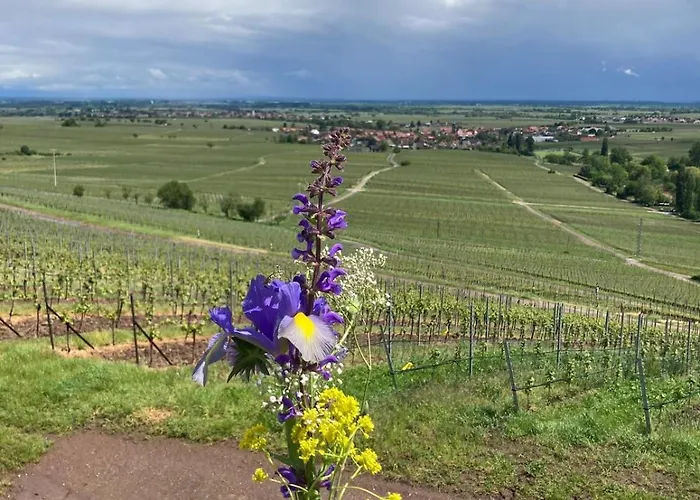 Blockhaus In Herrlicher Umgebung Dom wakacyjny
