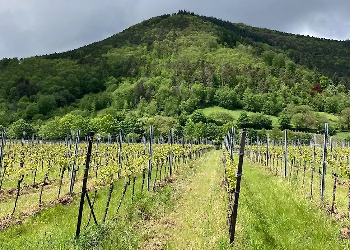 Blockhaus In Herrlicher Umgebung * Darstein
