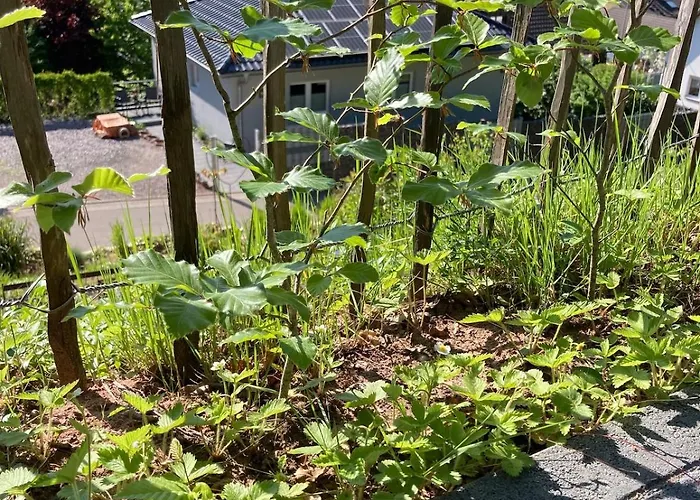Blockhaus In Herrlicher Umgebung Dom wakacyjny *