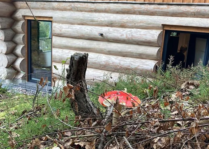 Blockhaus In Herrlicher Umgebung *